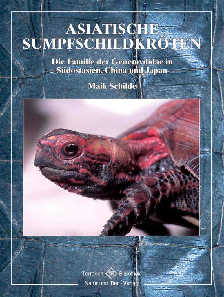 Asiatische Sumpfschildkröten